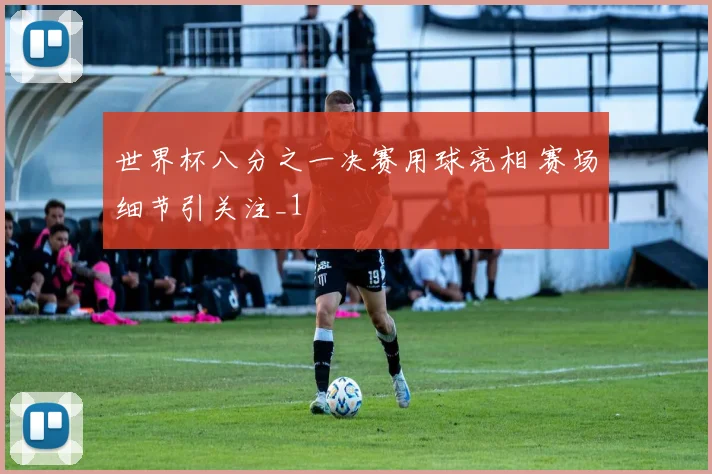 世界杯八分之一决赛用球亮相 赛场细节引关注_1