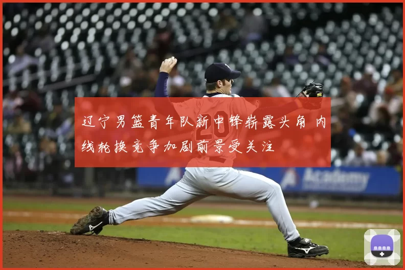 辽宁男篮青年队新中锋崭露头角 内线轮换竞争加剧前景受关注