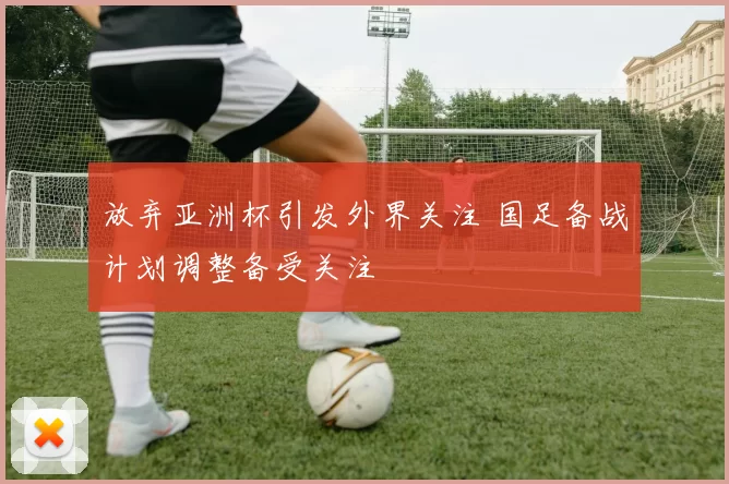 放弃亚洲杯引发外界关注 国足备战计划调整备受关注