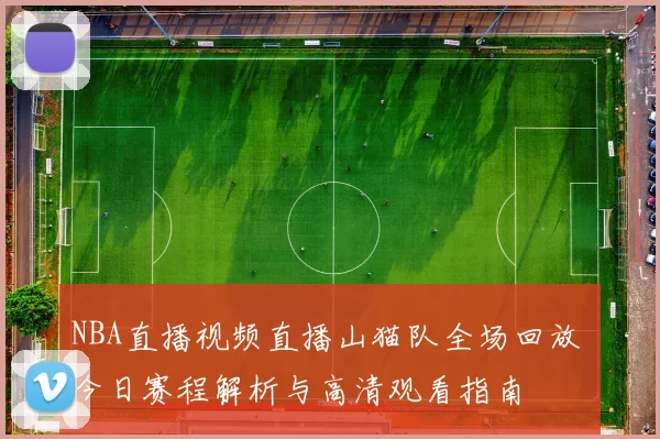 NBA直播视频直播山猫队全场回放 今日赛程解析与高清观看指南