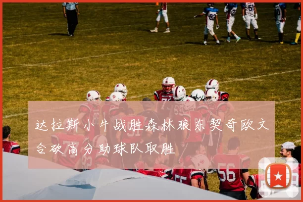 达拉斯小牛战胜森林狼东契奇欧文合砍高分助球队取胜