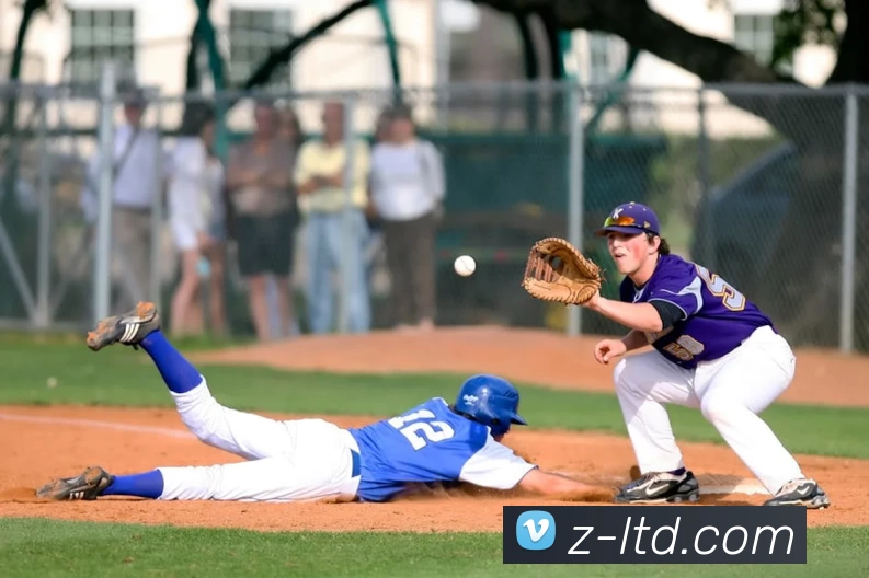 九游体育官网app登录平台生态图